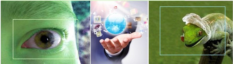 Mobile-Marketing cambia pelle Mobile-Marketing cambia pelle