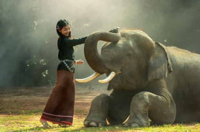 Elephant-girl-OPT